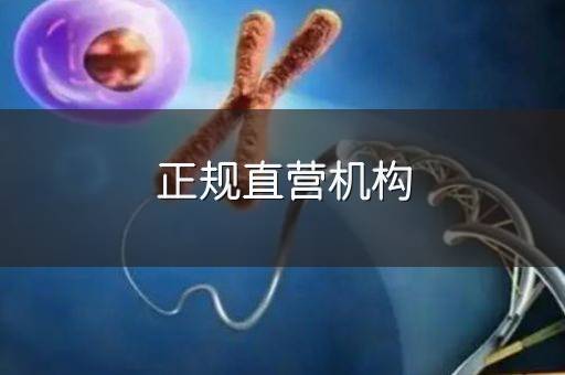 正规直营机构