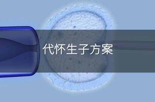代怀生子方案