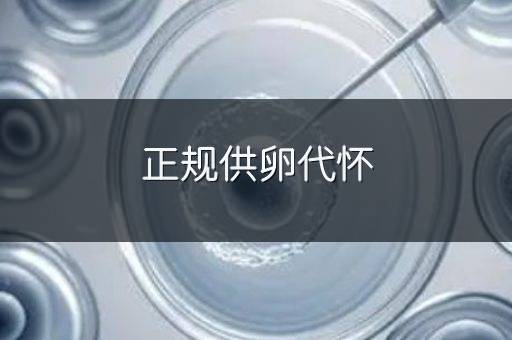 正规供卵代怀
