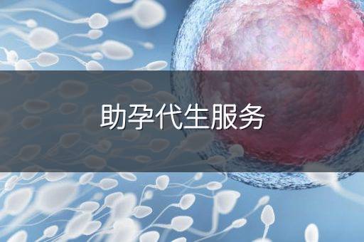 助孕代生服务
